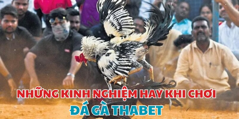 Những kinh nghiệm mà bạn phải nằm lòng