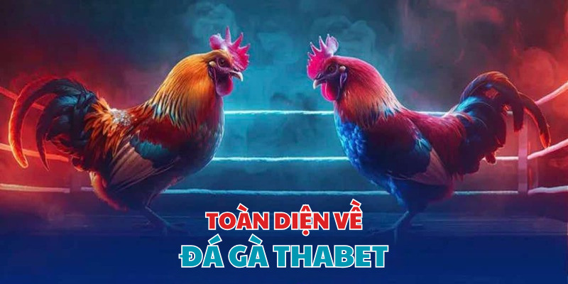 Sơ bộ về chuyên mục đá gà Thabet