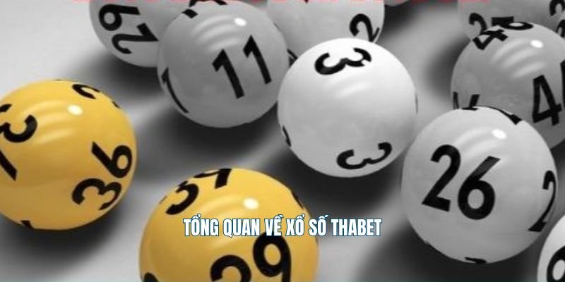Tổng quan về xổ số Thabet